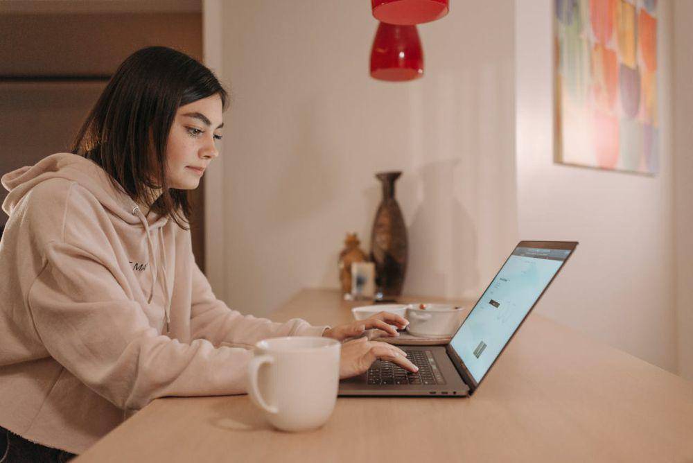 ilustrasi menggunakan laptop (pexels.com/Pavel Danilyuk)