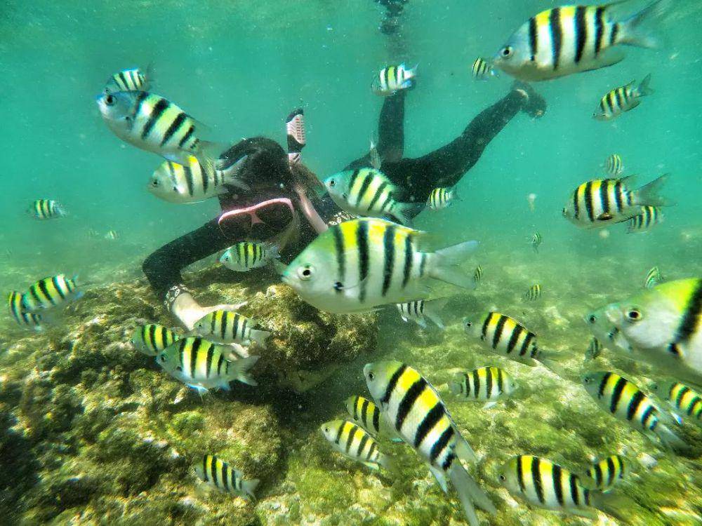 Pantai Nglambor, Yogyakarta (instagram.com/nglamborbeach_gunungkidul)
