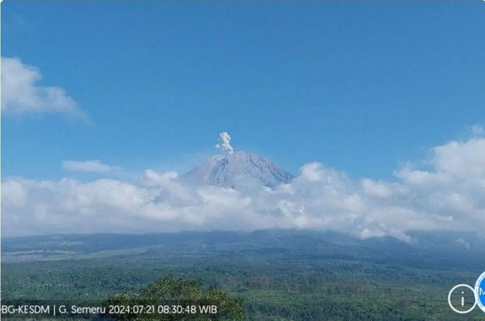 Gunung Semeru Erupsi, Letusan Capai Ketinggian 600 Meter