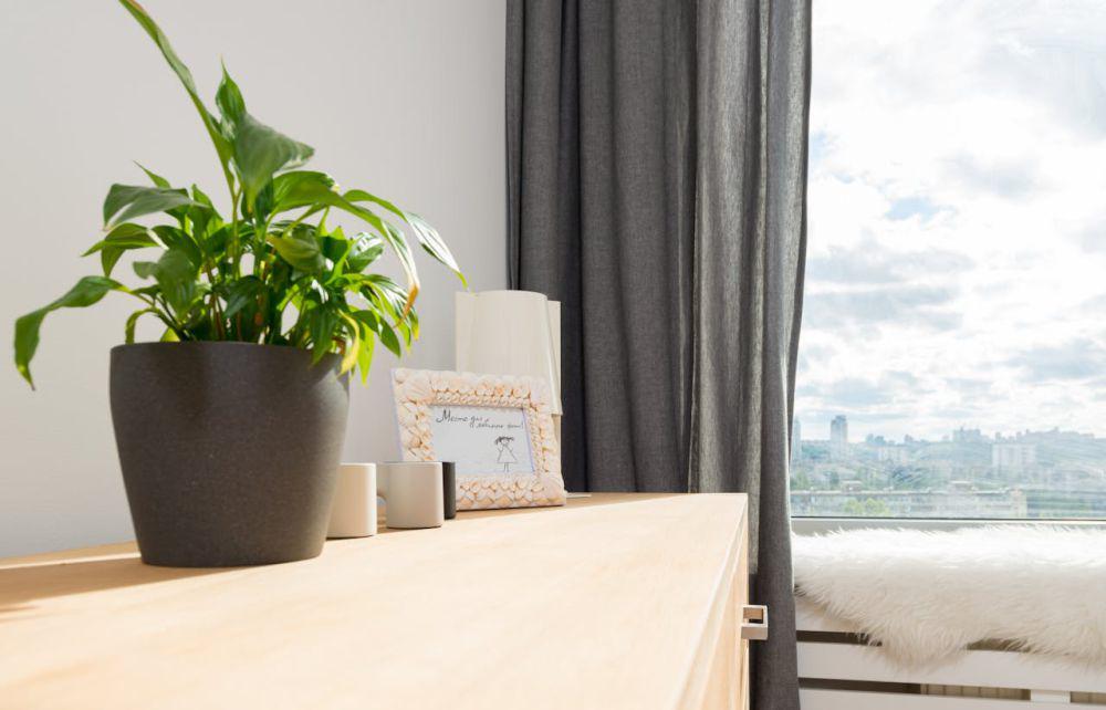 5 Tips Bikin Pot Tanaman Lebih Hemat Tempat, Ruangan Tetap Stylish!
