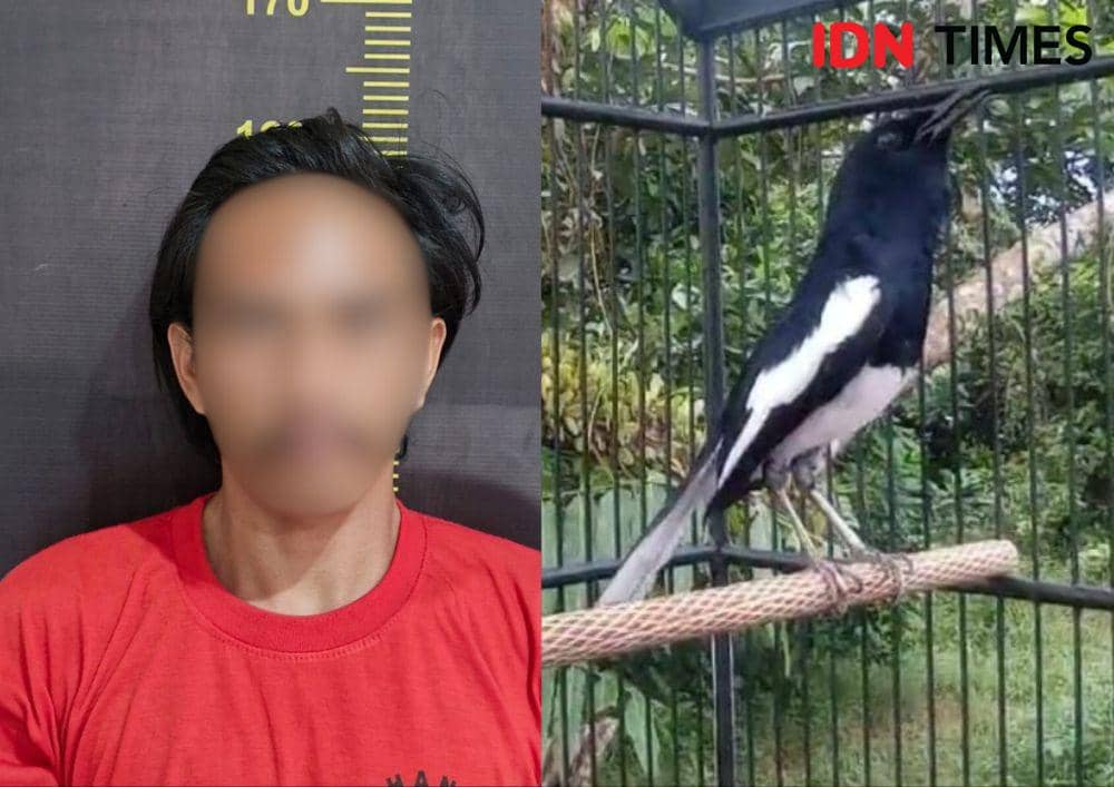 Residivis Ini Mencuri Burung Mahal Hanya Seharga Rp100 Ribu