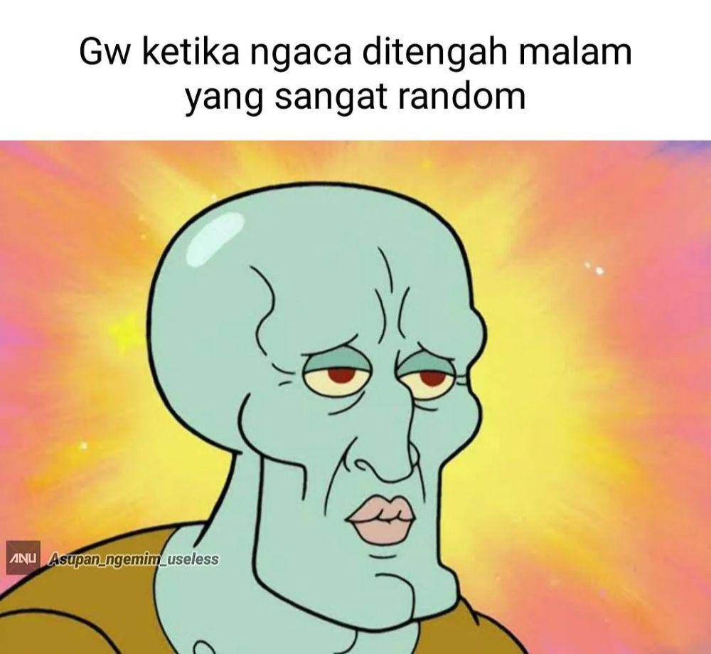 meme ngaca (instagram.com/asupan_ngemim_useless)