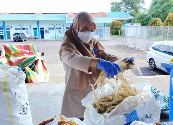 Karantina Sumsel Sertifikasi 9 Kg Gelembung Renang Ikan Senilai Rp6 M