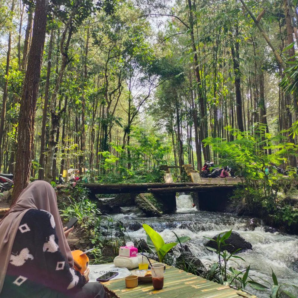 9 Pesona Kali Pinusan Poncosumo Lumajang, Alamnya Asri!
