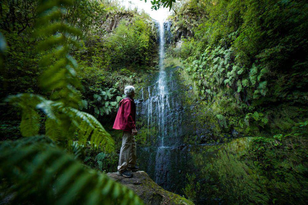 potret salah satu air terjun di jalur Levada Walks (pexels.com/Hikerwise)