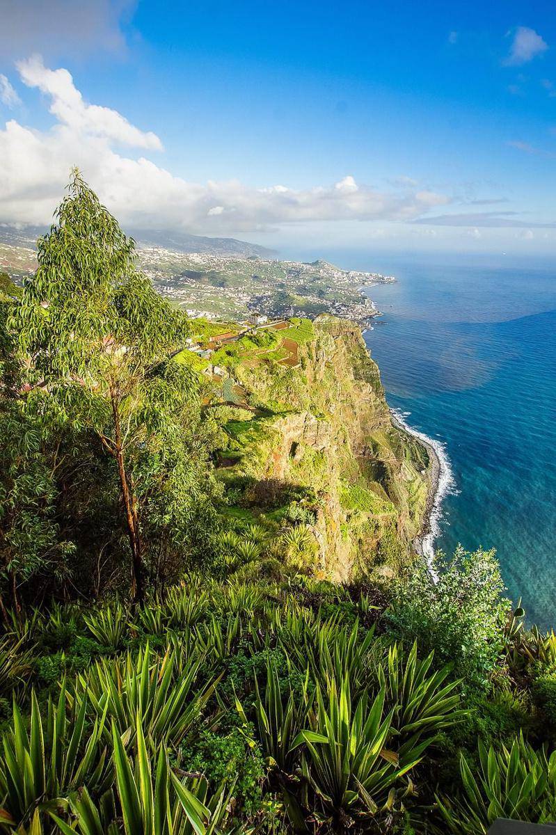 potret Cabo Girão (pixabay.com/franky1st)