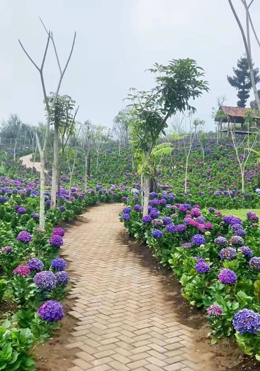 suasana kebun bunga di Wisata Dusun Kuliner (instagram.com/rinnicahyaa)