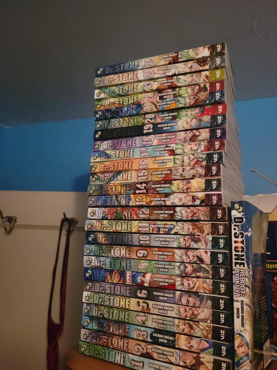 potret koleksi Dr. Stone (reddit.com/user/Fireworkspinner1)