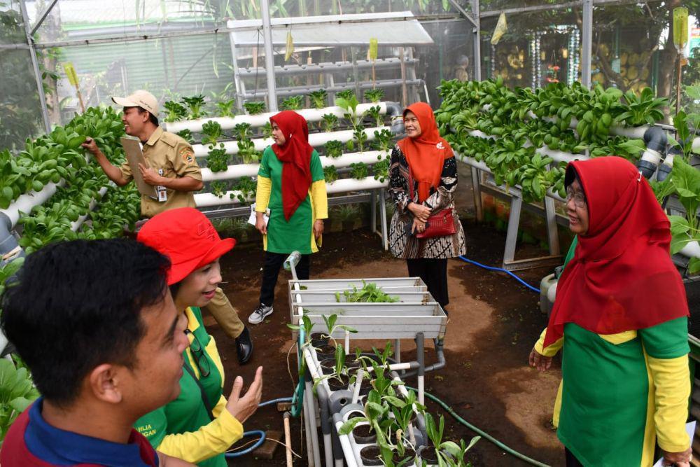 Pemkot Semarang Petakan Lahan Tidur untuk Urban Farming