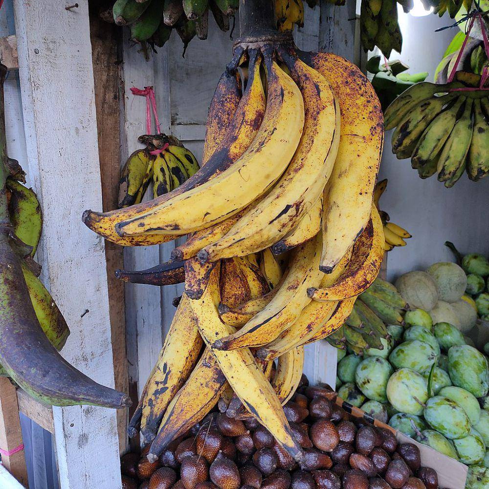 ciri-ciri pisang tanduk (commons.wikimedia.org/Afrogindahood)