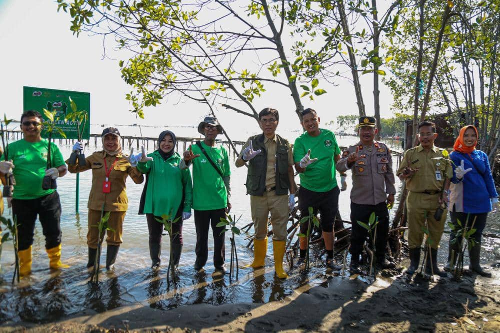 Sekretaris Dinas Lingkungan Hidup Kota Semarang Hartana Subekti, Kepala Cabang Dinas Kehutanan Wilayah 3 Semarang Pujiharini, Direktur Corporate Affairs and Sustainability PT Nestle Indonesia Sufintri Rahayu, Kepala Dinas Lingkungan Hidup dan Kehutanan Provinsi Jawa Tengah Widi Hartanto dan Sports Marketing Manager Nestlé MILO Yozart Zulmi secara simbolis melakukan penanaman mangrove di Pantai Mangunharjo, Kota Semarang, Jawa Tengah. (dok. MILO)