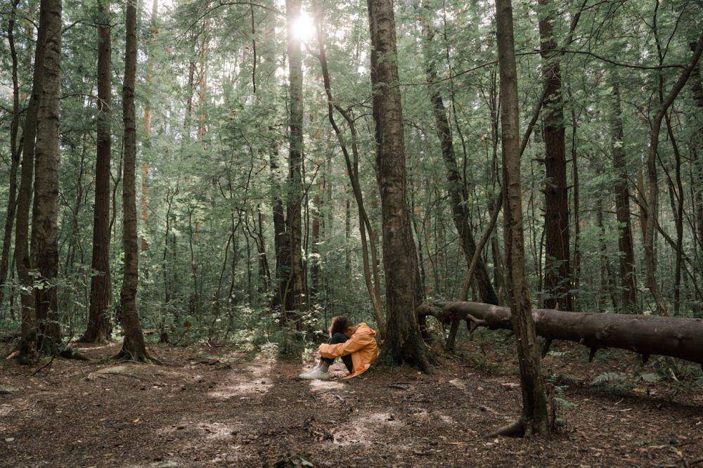 Ilustrasi tersesat di hutan (Pexels.com/Ron Lach)