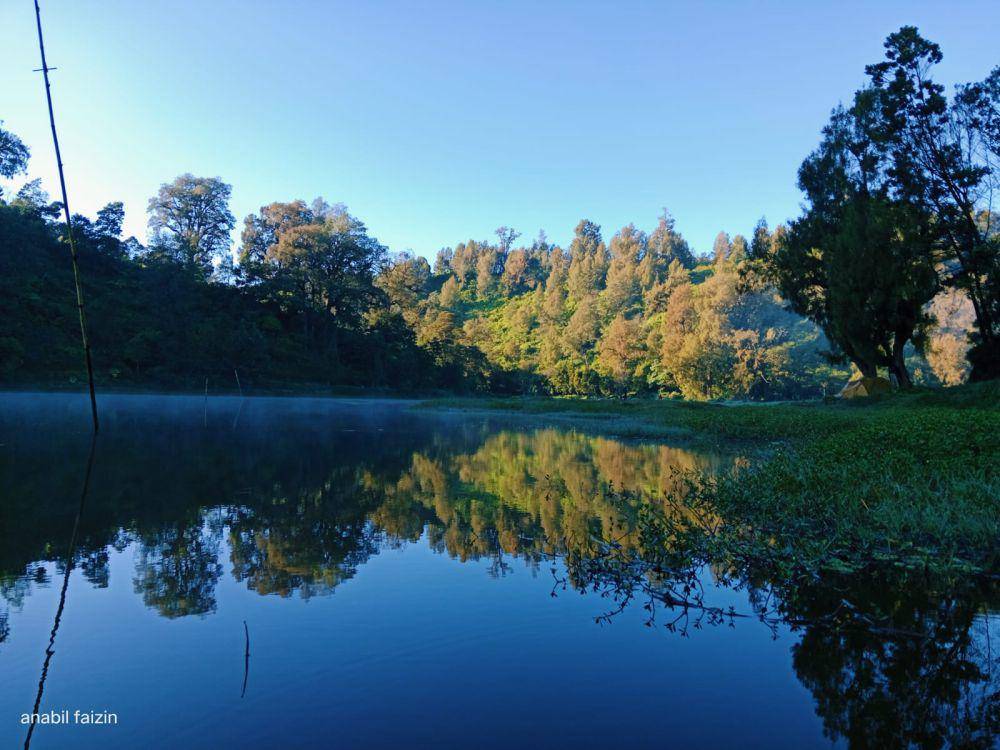 Menjelajah Pesona Danau Ranu Pani: Lokasi, HTM, Aktivitas