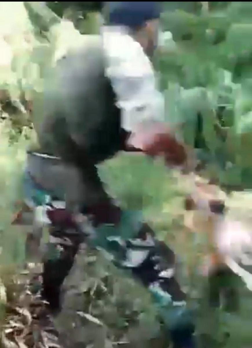 Aktivis Laporkan Warga yang Diduga Siksa Anjing
