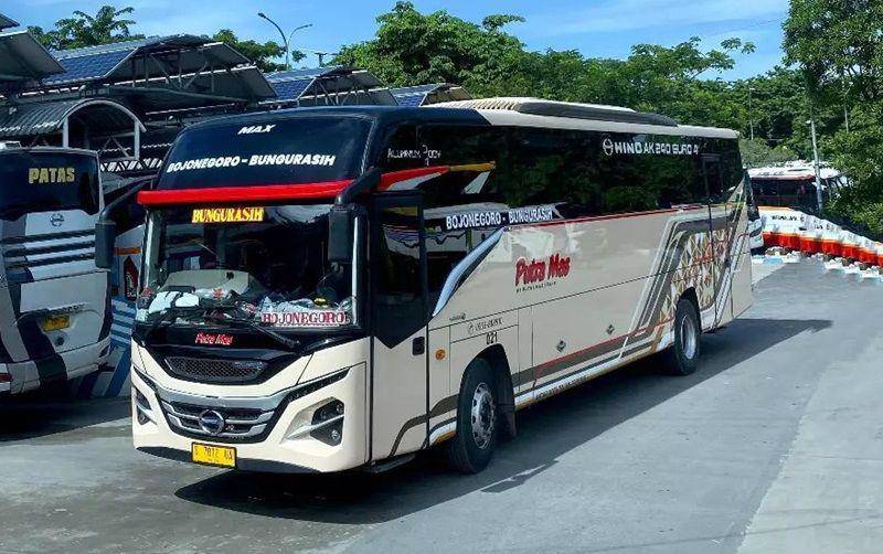 potret bus dengan sasis Hino AK240 Euro 4 (instagram.com/putramastrans)