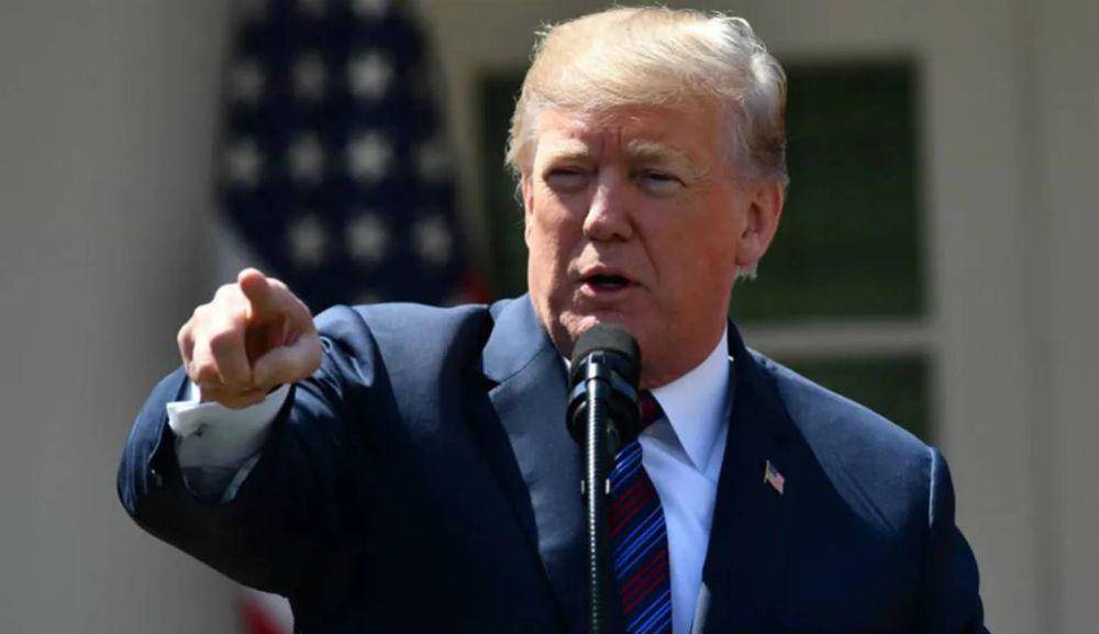 Donald Trump (imdb.com/Donald Trump)