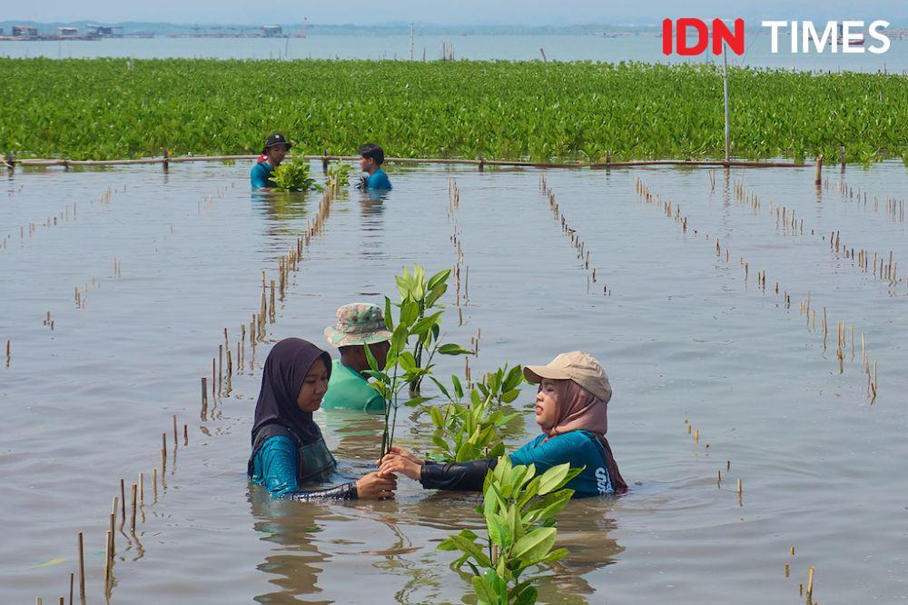 Lokakarya Mangrove BLDF di Semarang: Ajak Anak Muda Selamatkan Bumi
