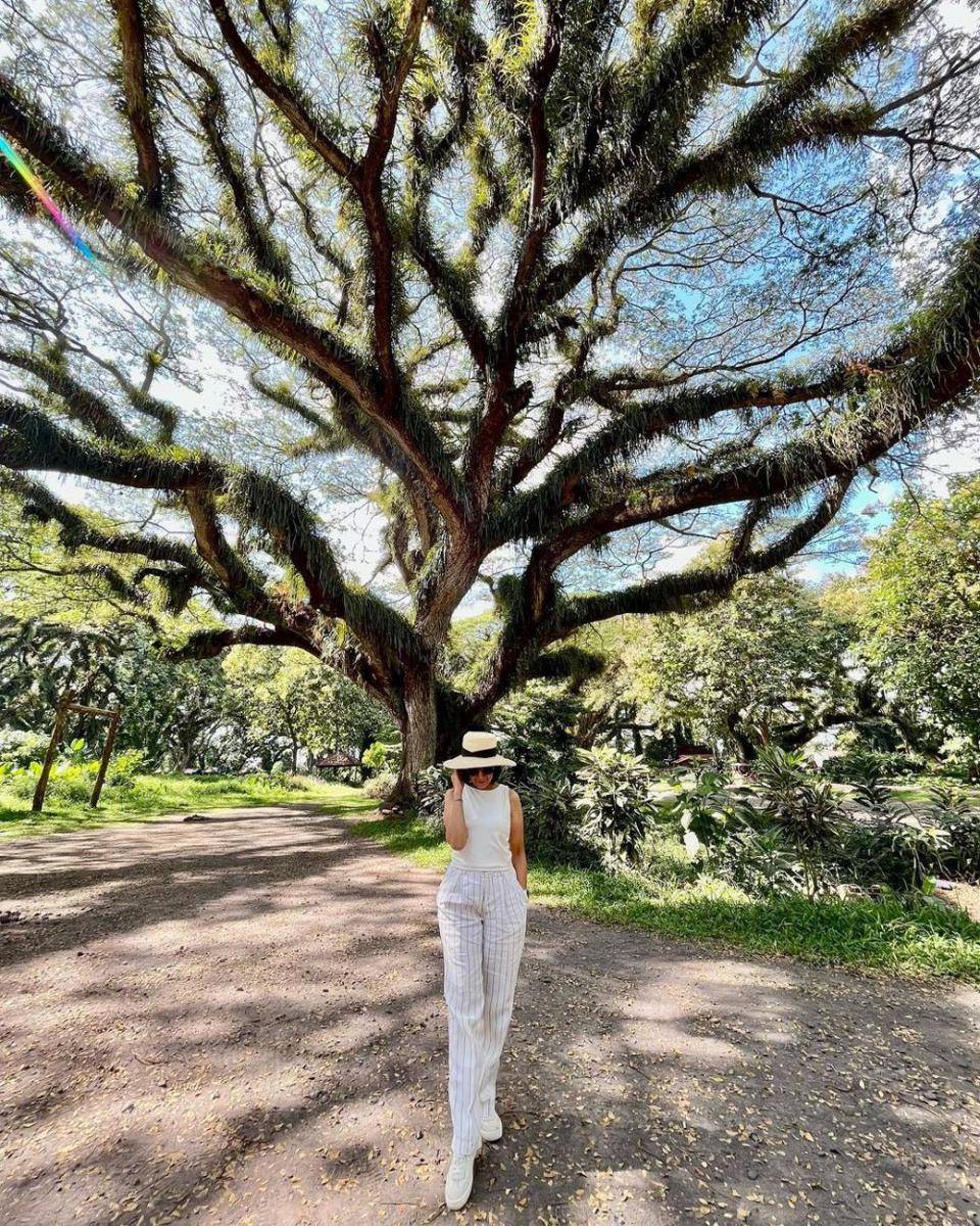De Djawatan Banyuwangi (instagram.com/chriswicaksana)