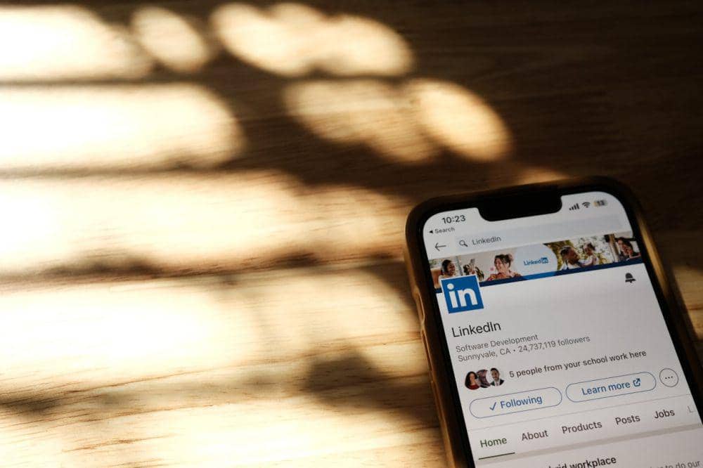 ilustrasi LinkedIn (pexels.com/Airam Dato-on)