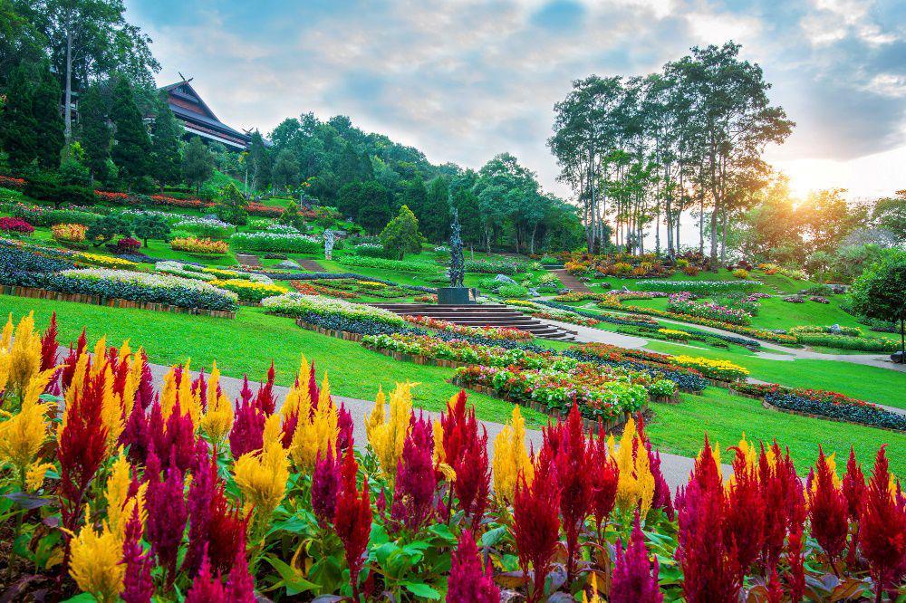 8 Perlengkapan untuk Tamasya ke Kebun Raya