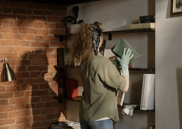 ilustrasi membersihkan rak buku