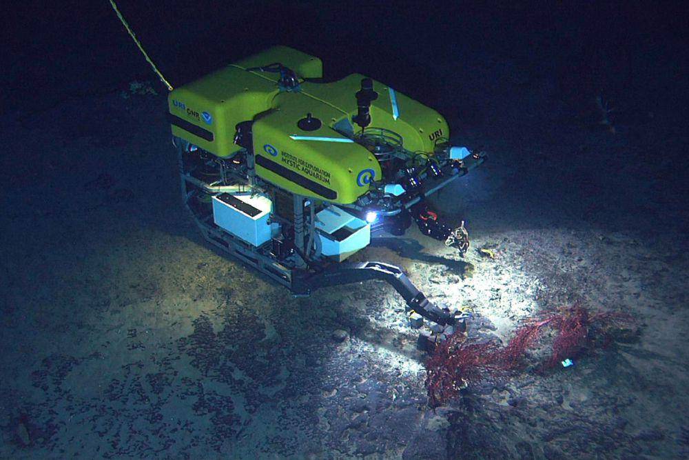 Ekspedisi gunung bawah laut menggunakan ROV Hercules diterapkan di kapal selam DSV Alvin pada 2003 di Rantai Gunung Laut New England. (commons.wikimedia.org/Mountains in the Sea Research Team/IFE Crew/NOAA/OAR/OER)