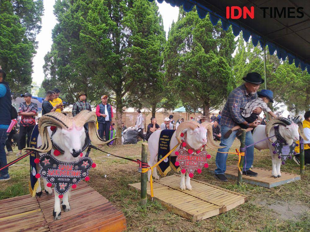 (Bangkit Rizki/IDN Times)