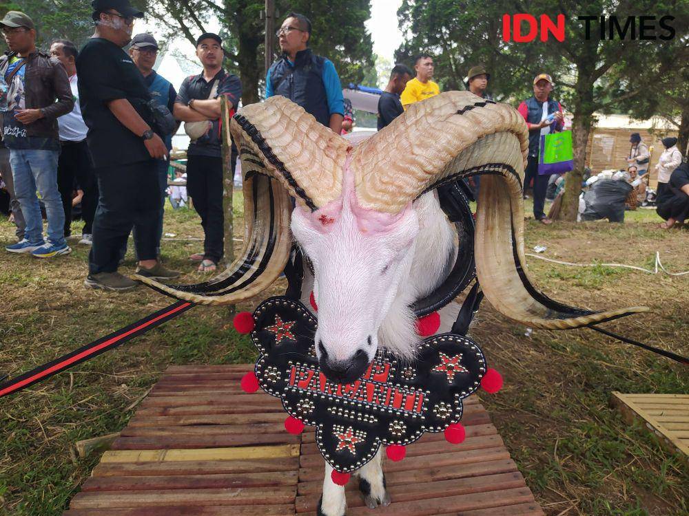 (Bangkit Rizki/IDN Times)