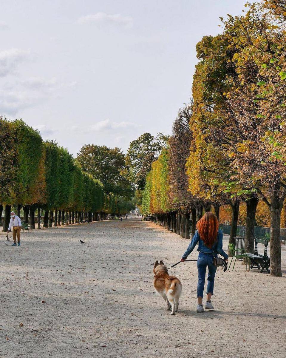 Tuileries Garden (instagram.com/parisjetaime)