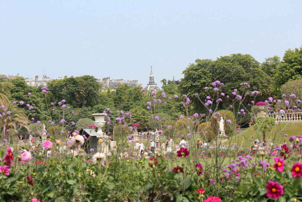 Jardin du Luxembourg (unsplash.com/Tania Malréchauffé)