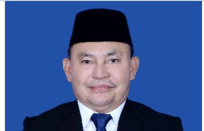 Anggota DPR RI Komisi II Fraksi NasDem, Ujang Iskandar (Dok. DPR.go.id)