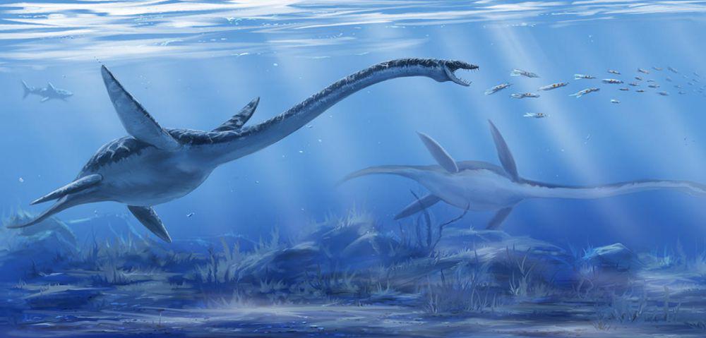Kehidupan Laut di Era Dinosaurus, Ada Hewan Apa Saja?