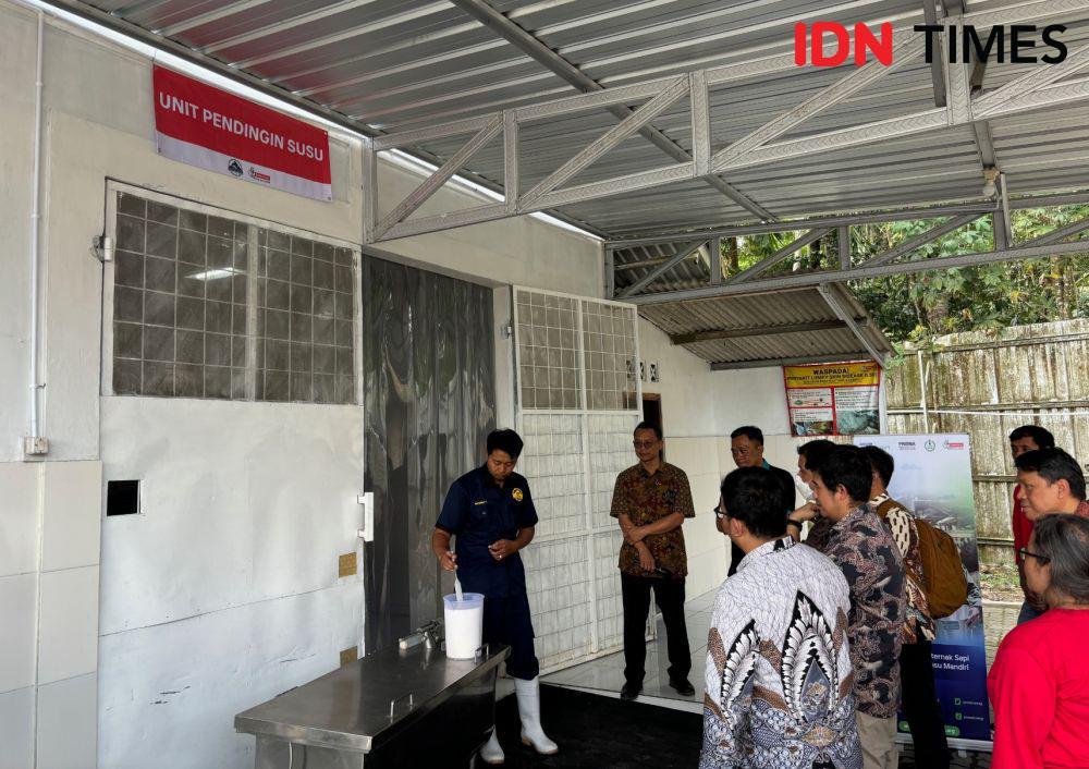 Peternakan sapi perah Koperasi Samesta, Plosokarep, Umbulharjo, Cangkringan. (IDN Times/Herlambang Jati Kusumo)