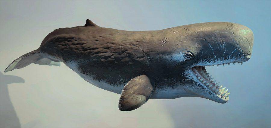 ilustrasi livyatan (wikimedia.org/Jaaproosart)