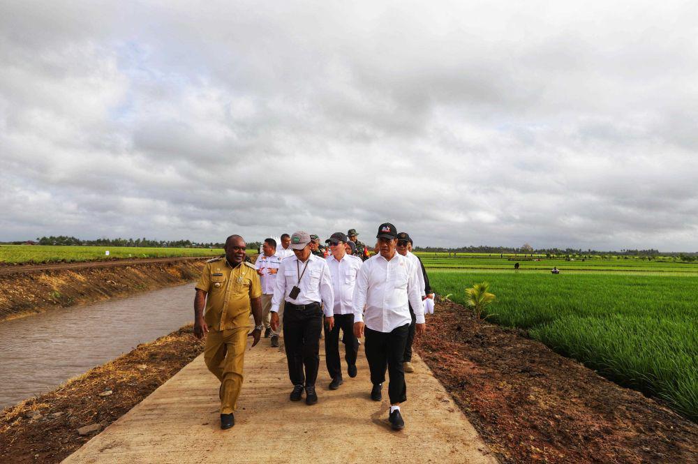Menteri Pertanian (Mentan), Andi Amran Sulaiman memantau pengembangan varietas unggul padi Cakrabuana Agritan di Kabupaten Merauke. (dok. Kementan)