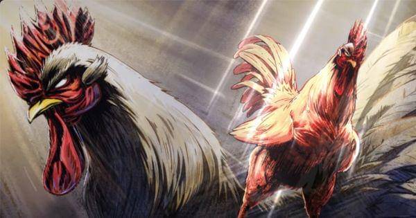 Keiji, ayam super penjaga kedamaian ( Dok. vizmedia / Rooster Fighter )