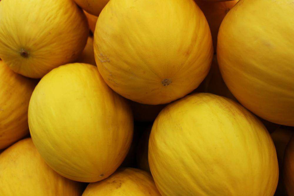 Ilustrasi buah melon kuning (unsplash.com/outsideclick)