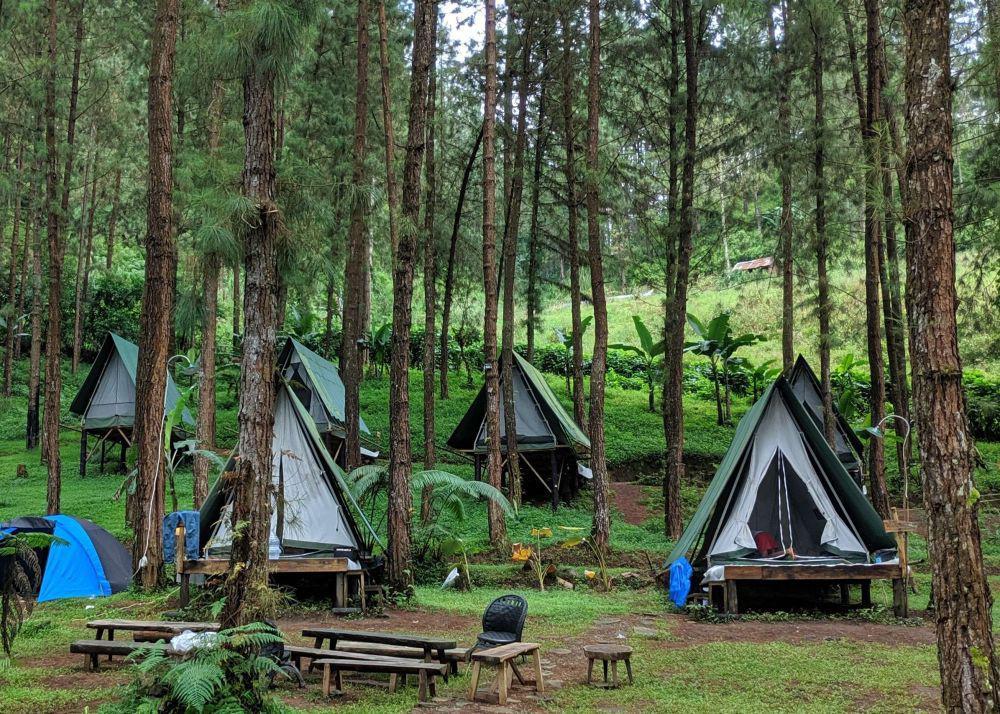 Rumah Angsa Guci Glamping: Lokasi, Tiket, dan Aktivitas Seru