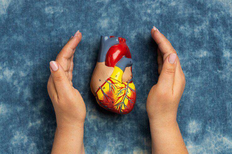 ilustrasi organ jantun (freepik.com/freepik)