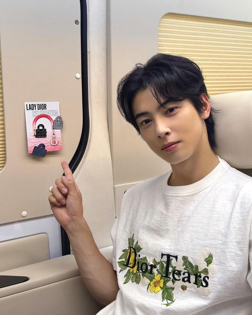 potret Cha Eun Woo (instagram.com/eunwo.o_c)