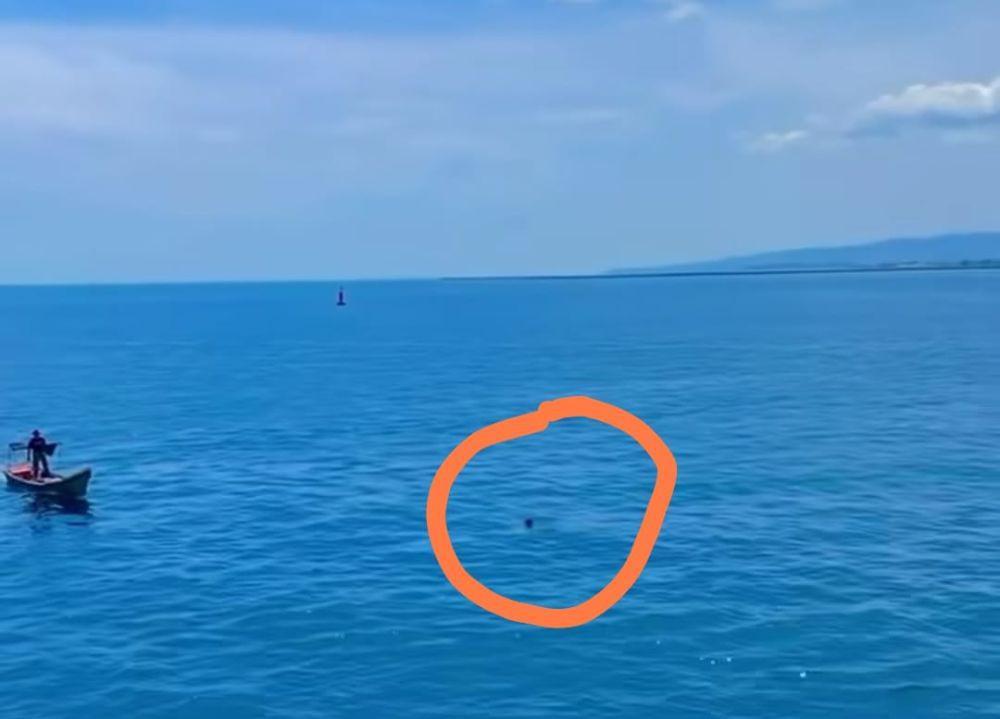 Seorang Warga Melompat dari Kapal Penyeberangan Banda Aceh-Sabang