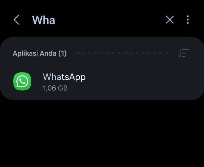 Cara cek versi WhatsApp melalui pengaturan aplikasi (dok.pribadi/Reyvan Maulid)