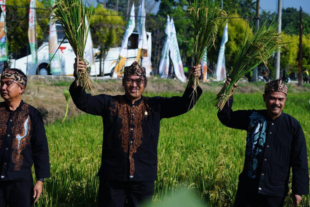 Wamentan Dorong Swasembada Pangan, Kejar Target Presiden Baru