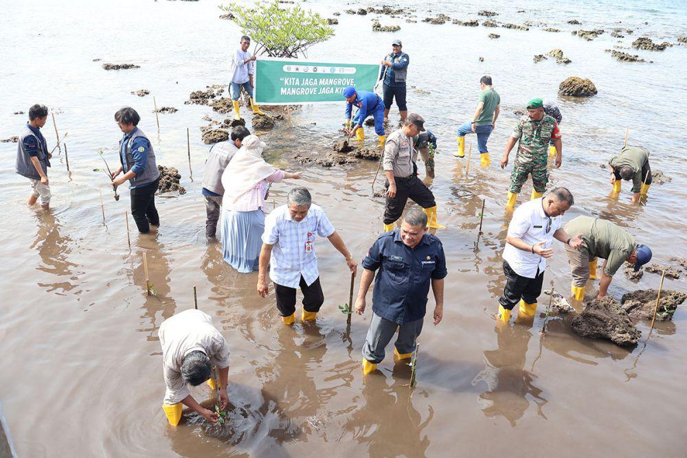KI Tanam 103 Ribu Bibit Demi Pemulihan Ekosistem Mangrove Sawo Lahewa