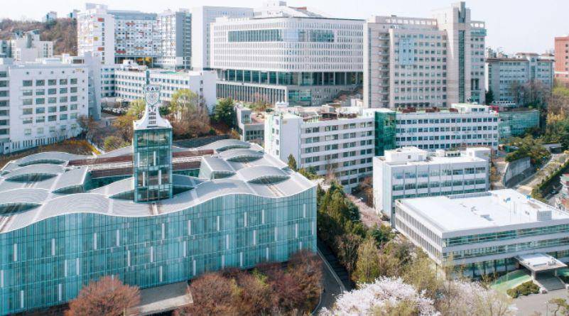 Chung Ang University. (Cau.ac.kr)
