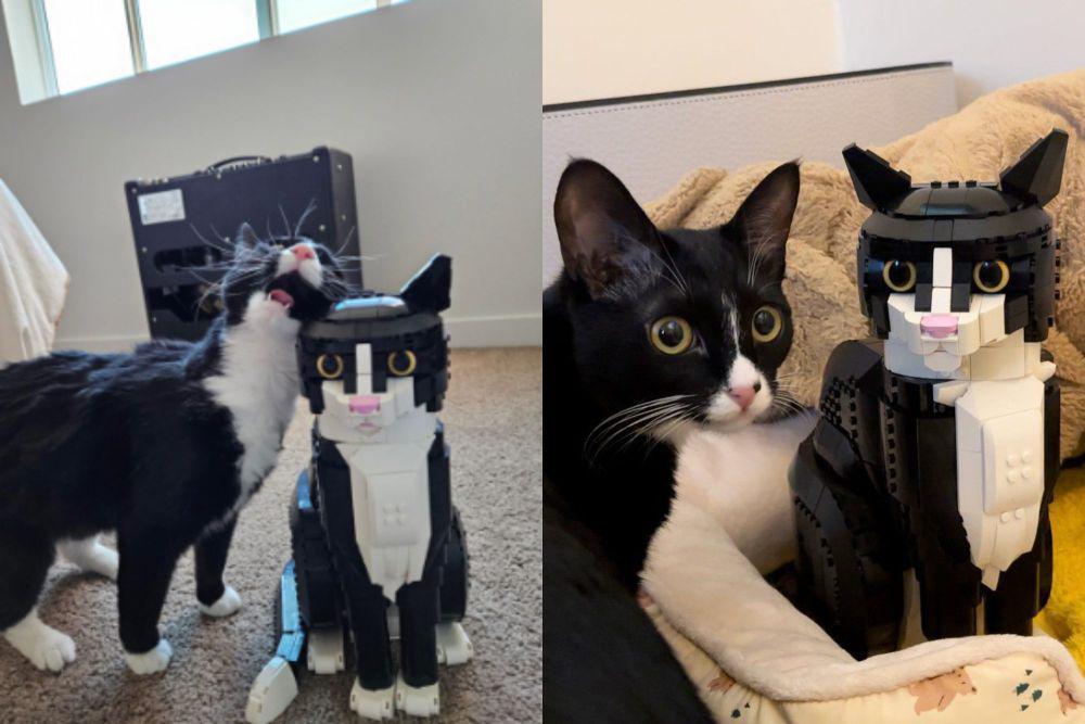 7 Potret Kucing Tuksedo Bersanding dengan Lego Diri Mereka Sendiri
