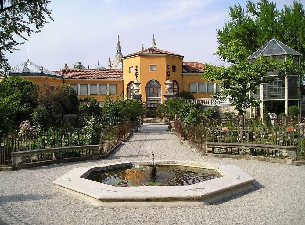 5 Fakta Orto Botanico di Padova, Taman Botani Tertua di Dunia