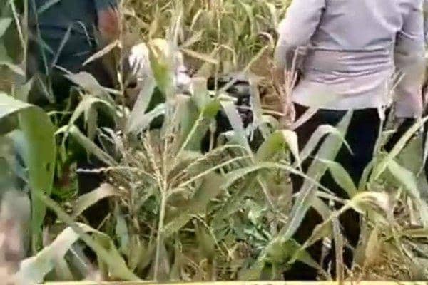 KKPPMP Keuskupan Desak Usut Tuntas Kasus Pembunuhan Kader Fatayat NU