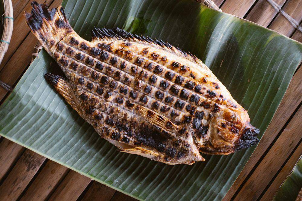 Ilustrasi satu ekor ikan bakar. Unsplash/Michaellock