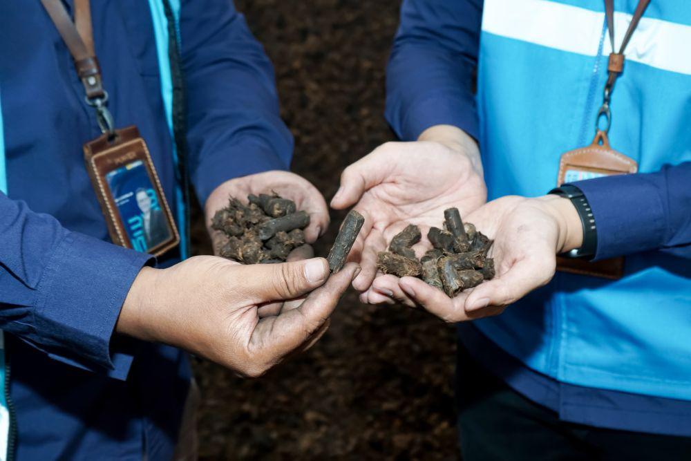 Geliat Ekonomi Lokal dari Pemanfaatan Biomassa untuk Co-Firing di PLTU